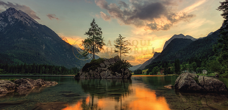 Landscape